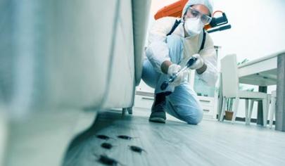 Pest Control Service